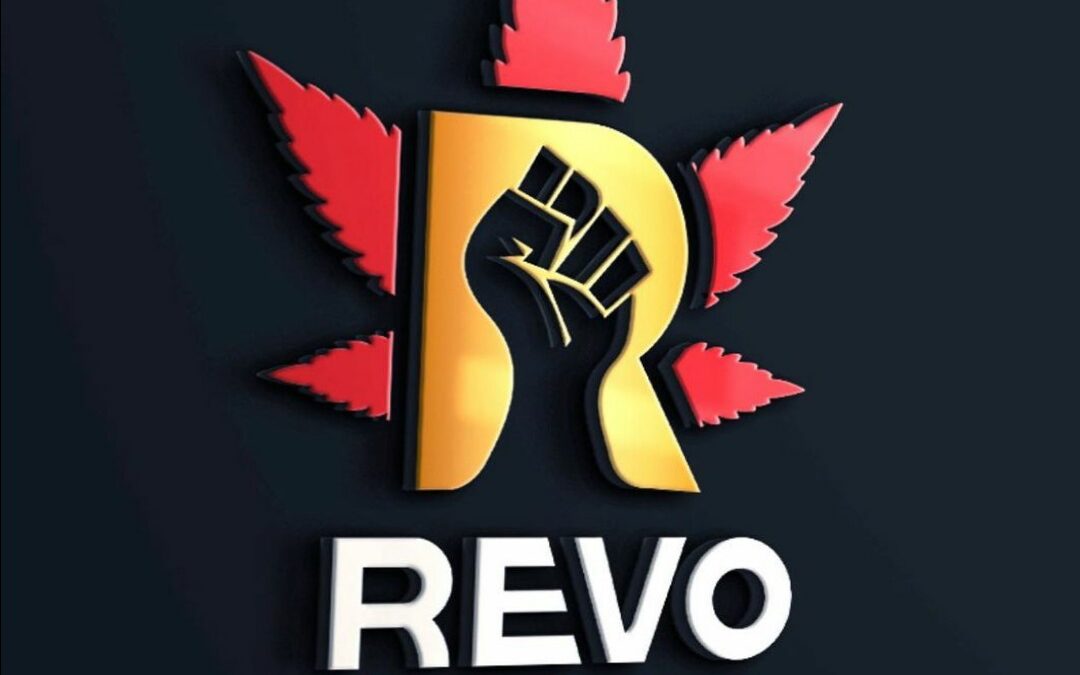 Revo Group Grand Opening Sunday August 1st! 5-8pm!
