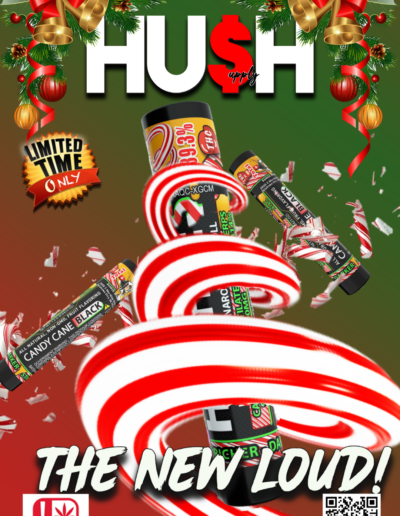 A poster of candy canes and christmas lights.